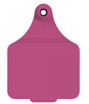 LP Cow Tag 2P PINK