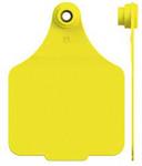 LP Cow Tag 2P YELLOW