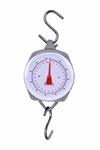 Scale Hanging Dial 250kg