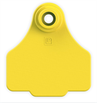 LP Small Tag 2 Piece YELLOW
