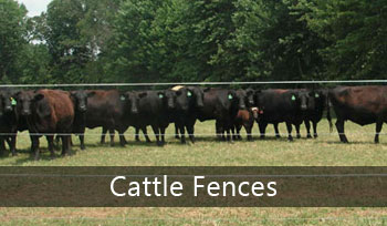 Cattle Fences